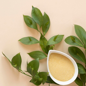 Extracto de Cassia Angustifolia Senna Pan en Polvo Premium, Ingrediente Botánico Natural para Té, Bebidas y Mezclas Alimentarias - Product Image 1