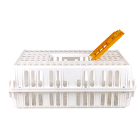 Volaille Plastique Poulet Poussin Poulet Poulet Couche Canard Pigeon Transport Cage Caisse Cas Boîte
