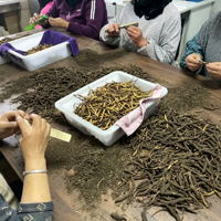 Extrait Herbal Liquide-Solide de Cordyceps Sinensis Sauvage de Haute Qualité – Extraction Alimentaire de Polyphénols Solides Entiers, Vitamine C et Protéines