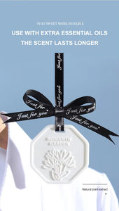 Ambientador de yeso aromático blanco personalizado al por mayor, sin fuego, con aceites esenciales de marca para aromaterapia - Product Image 6