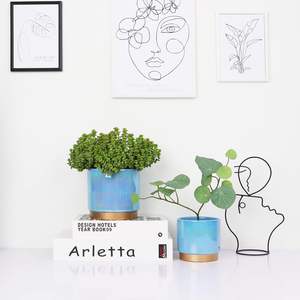 Grands pots à fleurs en céramique pour bonsaïs, idéaux pour bureaux et balcons - Design moderne et écologique, trou de drainage, légers - Vente directe - Product Image 5