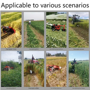 آلة حصاد الأرز الصغيرة الفعالة، مكون أساسي، حاصدة بثلاثة صفوف، محرك ديزل، مناسبة للأراضي الزراعية والجبال - Product Image 6