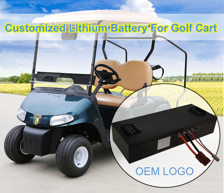CTS Rechargeable 72V 100Ah Lifepo4 Ev Battery Pack OEM Lifepo4 96v 100ah