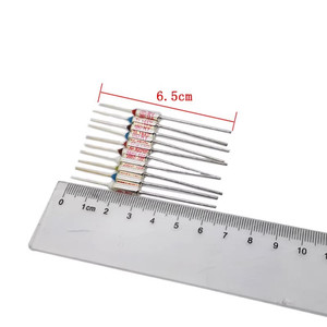 Fusible à cartouche 6,5 cm 10A 250V pour cuiseur à riz électrique - Product Image 1