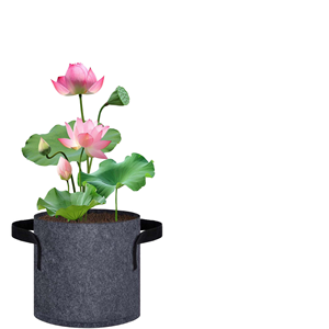 Lot <span class=keywords><strong>de</strong></span> 12 sacs <span class=keywords><strong>de</strong></span> culture en feutre <span class=keywords><strong>pour</strong></span> plantes aquatiques, réutilisables, respirants et portables, avec poignées, <span class=keywords><strong>pour</strong></span> plantes <span class=keywords><strong>de</strong></span> bataille et nénuphars - Product Image 1