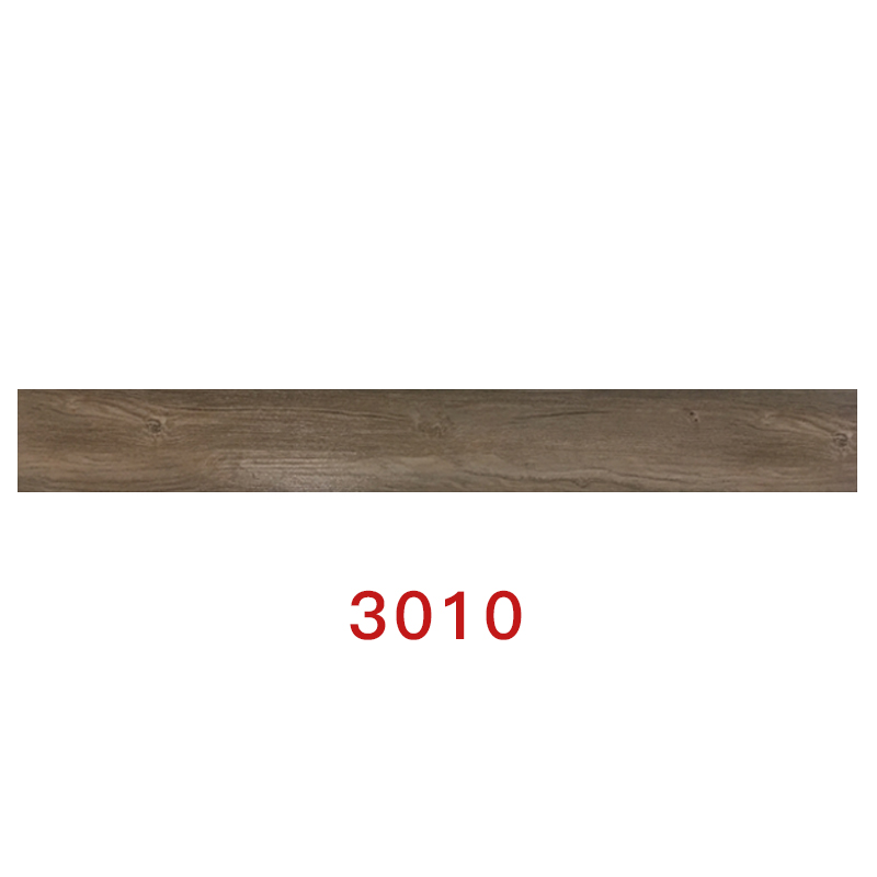 3010