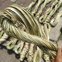 Équipement de traitement pour fermes de chanvre : Décortiqueuse de ramie, abaca, kenaf, extracteur de fibres de sisal et d'ananas