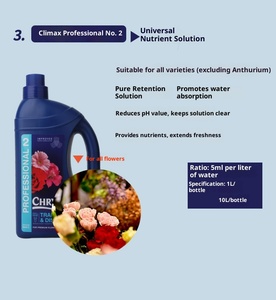 Holland <span class=keywords><strong>Koli</strong></span> Professional No. 2 Solution nutritive Fleuriste de conservation de la fraîcheur Organisateur de fleurs universel pour jardins - Product Image 3