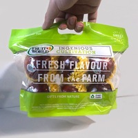 Sacs refermables en plastique haut de gamme pour l'emballage des fruits, sacs de conservation pour raisins, cerises