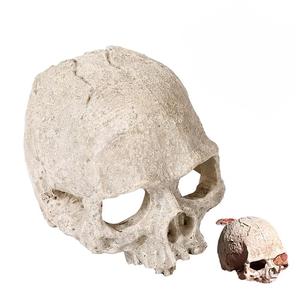 ของตกแต่งตู้<span class=keywords><strong>ปลา</strong></span>ตู้ปลาตู้ปลาลายแมงป่องงูงูใหญ่สไตล์โรมันการเพาะพันธุ์กะโหลกศีรษะของตกแต่งบ้านฮาโลวีน - Product Image 1