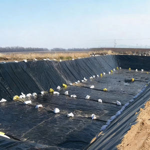 Géomembrane HDPE LDPE LLDPE texturée lisse imperméable anti-infiltration ASTM pour les applications de décharge et minières Irgin - Product Image 2