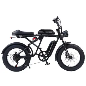 USA EU-Warenlager schnelle Lieferung 20'' 48V 36AH 750W Dicke Reifen Elektro-Mountainbike und Roller mit Elektromotor