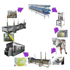 Línea de producción de piña congelada personalizada de 1000 kg/hr, máquina para hacer melón de fruta congelada IQF, línea de procesamiento de fruta liofilizada