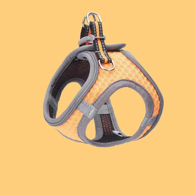 Orange [Lead rope not included]