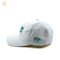 Op maat gemaakte 6-delige Oxford Dobby geborduurde logo baseballcap van waterdicht nylon