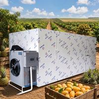 Noord-Afrikaanse dadelpompmachine, warmtepomp fruitdroger, energiebesparend