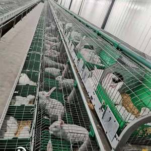 Vente en gros 2 étages 24 cellules <span class=keywords><strong>cages</strong></span> à lapins afrique du sud <span class=keywords><strong>cages</strong></span> à lapins commerciales industrielles pour cage à animaux - Product Image 3