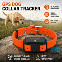 Collier de suivi GPS pour chien de chasse professionnel 4G LTE IP67 étanche 4000mAh batterie 30 jours appel vocal bidirectionnel OEM/ODM