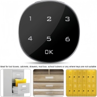 Serrure Intelligente Durable en Alliage de Zinc avec Carte Mémoire pour Porte en Acier, Entrée par Empreinte Digitale et Carte Clé pour Tiroirs, Placards, Armoires, Boîtes aux Lettres et Classeurs