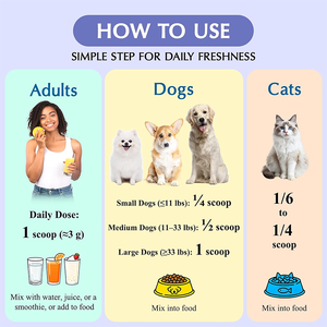 Suplemento en Polvo de Zeolita Clinoptilolita de 1500 mg, Desintoxicante Suave con Probióticos y <span class=keywords><strong>FOS</strong></span>, Promueve la Digestión y la Motilidad Intestinal - Product Image 5