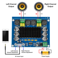 DC 12V/24V double canal 120W * 2 haute puissance TPA3116D2 amplificateur carte Audio professionnel linéaire DC amplificateurs comparateurs pour la maison