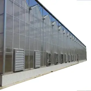 Chinese Factory Product Polycarbonate greenhouse Agriculture For Hydroponics System Growing