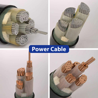 YJV22 YJV 0,6/1KV 4 + 1 núcleo 16mm/25mm/35mm/50 mm70 mm/95mm/120mm/150mm/185mm/240mm 2/3/4 núcleo cable de alimentación de cinta de cobre y acero