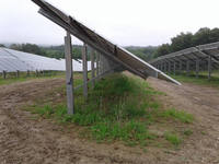 Sistema de Montaje en Suelo para Paneles Solares Fotovoltaicos de Pilar Único de Acero Galvanizado en Caliente, Directo de Fábrica, Venta al por Mayor