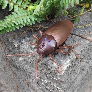 KK New RC Rockroach Điều Khiển Từ Xa Xe Xe Đồ Chơi Động Vật, Điện Tử Thực Tế Chèn Lớn Bug Glowing Eyes Trẻ Em Quà Tặng Sinh Nhật - Product Image 6