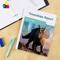 Carpeta de archivos colorida con cubierta de informe de panel y borde tradicional con 3 sujetadores