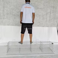 Pondoir à poules pondeuses à 3 niveaux de type A, cage à batterie pour volailles, poulailler à vendre