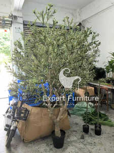 Olivo artificial para decoración de eventos - Product Image 2