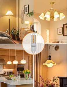 Ampoule LED <span class=keywords><strong>G9</strong></span> à prix d'usine chinois, lumière spéciale sans scintillement 3000K 4500K 6000K, lampe résidentielle DC 24V, ampoule LED maïs SMD - Product Image 6