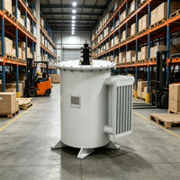 Transformateur monophasé immergé dans l'huile, à bobine toroïdale, de type colonne, haute efficacité 0.98, D11 100KVA, entrée 10KV