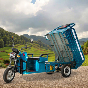 Open-Cover per adulti Trike elettrico 1200W <span class=keywords><strong>trasporto</strong></span> merci ad alta potenza 3 veicolo a ruote 60V camion moto prezzo di fabbrica - Product Image 2