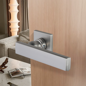 Factory Bestseller Antirust Entrance Different Type <strong>Door</strong> <strong>Lock</strong> <strong>Handle</strong> Modern <strong>Internal</strong> <strong>Door</strong> <strong>Handle</strong> for Home - Product Image 1