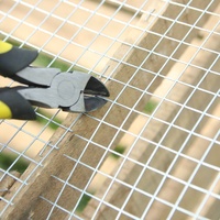 Cage à oiseaux galvanisée en treillis métallique enduit de zinc Rouleau de treillis métallique soudé BRC pour treillis de clôture