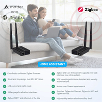 Coordinador de Puerta de Enlace Zigbee 3.0, Dongle Ethernet/USB para Zigbee2MQTT y Home Assistant