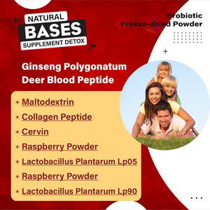 OEM/ODM Ginseng Rhizoma Polygonati, Peptide de sang de cerf, Probiotique, Poudre lyophilisée, Complément alimentaire pour soutenir l'immunité - Product Image 5