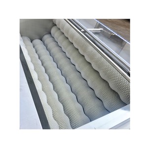 Máquina Industrial para Lavar y Pelar Jengibre, Zanahoria y Frutas, Máquina para Lavar y Pelar Batata - Product Image 1