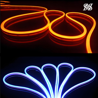Bandes de néons LED personnalisées en acrylique et acier inoxydable, étanches IPx4, 12V, garantie 1 an, pour décoration murale de chambres, fêtes et événements, Chine