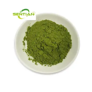Brassica Oleracea extract powder supplements Kale Extract 10:1 Brassica Oleracea extract