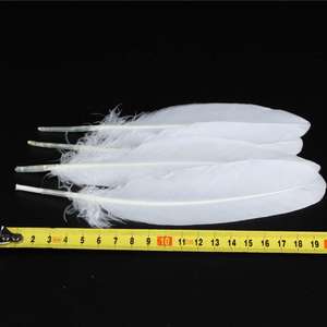 <span class=keywords><strong>Di</strong></span> alta qualità a buon mercato naturale 5.9-<span class=keywords><strong>Piume</strong></span> d'oca da 7.8 pollici alla rinfusa bianco decoro <span class=keywords><strong>piume</strong></span> per badminton volano angelo ala materiale - Product Image 6