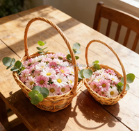 Panier en saule fabriqué en usine avec poignée, panier cadeau pour le rangement, lot de 2