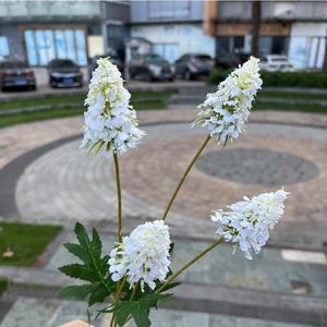 KEWEI 999, recién llegado, Flor de <span class=keywords><strong>lupino</strong></span> Artificial Mini, 4 cabezas, flor de piña de seda, Decoración de mesa de boda - Product Image 4