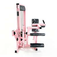 Machine de musculation commerciale 2-en-1 pour flexions et extensions des jambes, double fonction, en acier, pour centre de fitness et musculation
