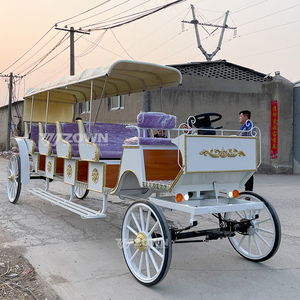 Voiture électrique longue à grain de bois blanc avec sièges violets pour le transport touristique dans les zones panoramiques - Product Image 1