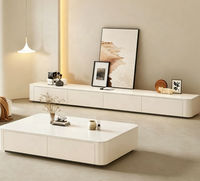 Meuble TV sur pied de luxe léger pour salon, combinaison table basse et meuble TV haut de gamme moderne pour petit appartement