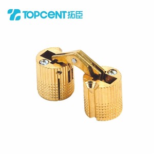 Bisagra de Barril de Latón Dorado de Fábrica TOPCENT, Bisagra Metálica Pequeña para Múltiples Usos en Cocina, Dormitorio, Hospital, Escuela, Entrada y Exterior - Product Image 2