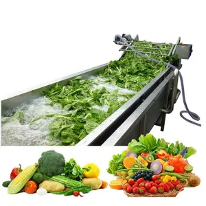 Big Capacity Bubble Vegetable Washer Machine Potato Radish Fruits And Vegetable Washing Machine